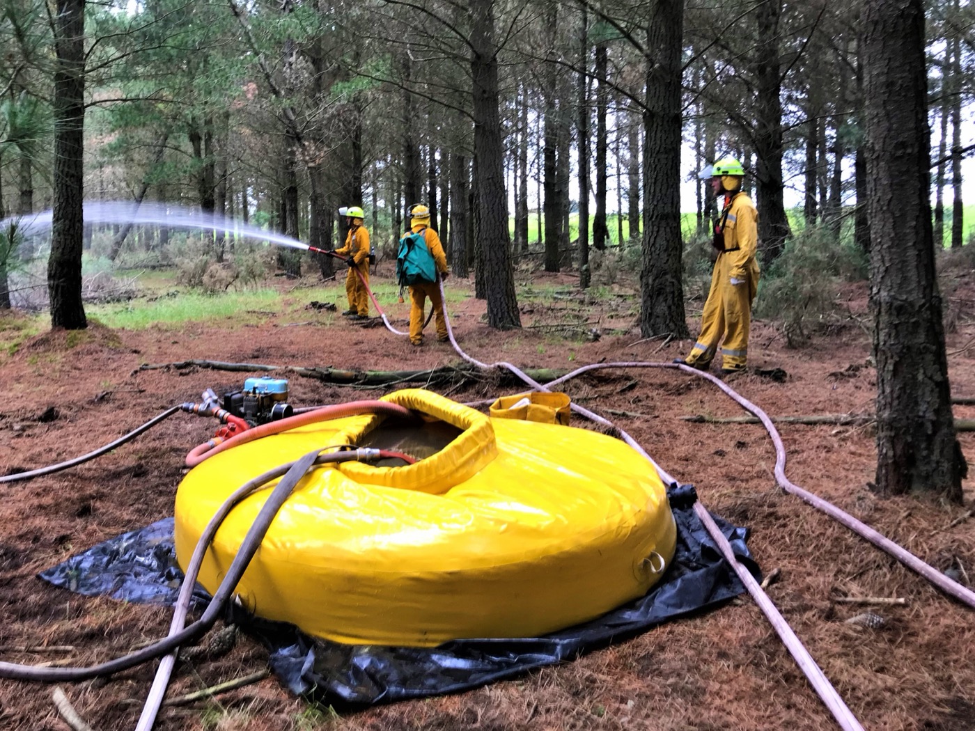 Remote wildlands environment